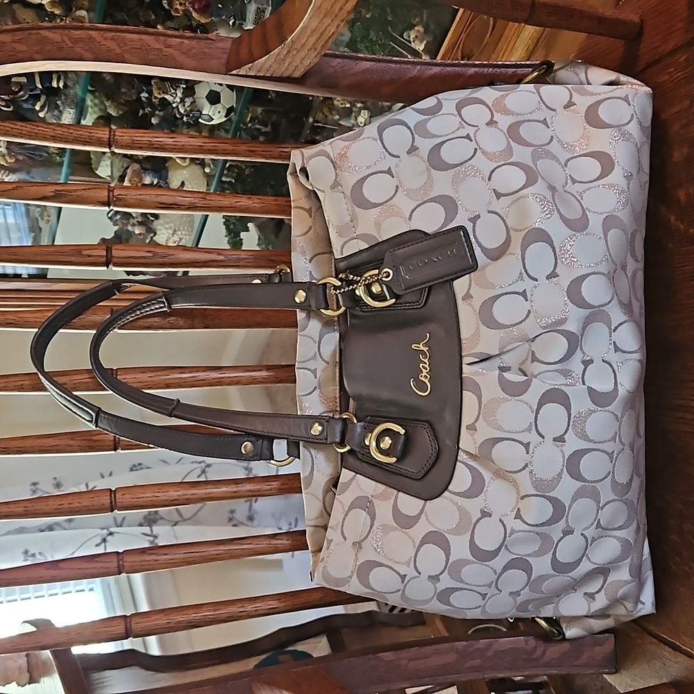 EUC COACH METALLIC CARRY ALL BAG